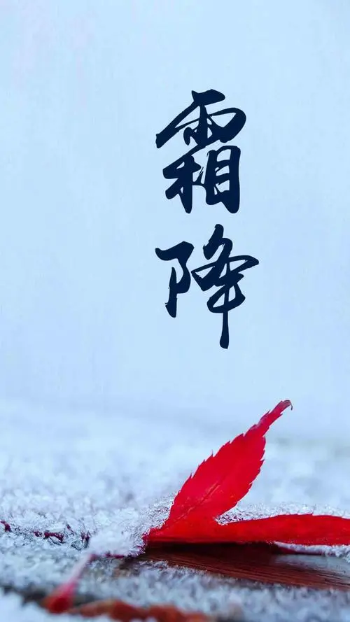 木塑地板厂家 | 寒霜降，染秋霜